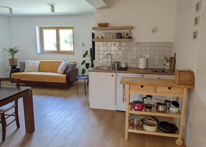 아파트 Klancarjeva Domacija - Spacious Countryside On An Eco Farm *